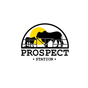 Logo Design by geni for this project | Design #30680455