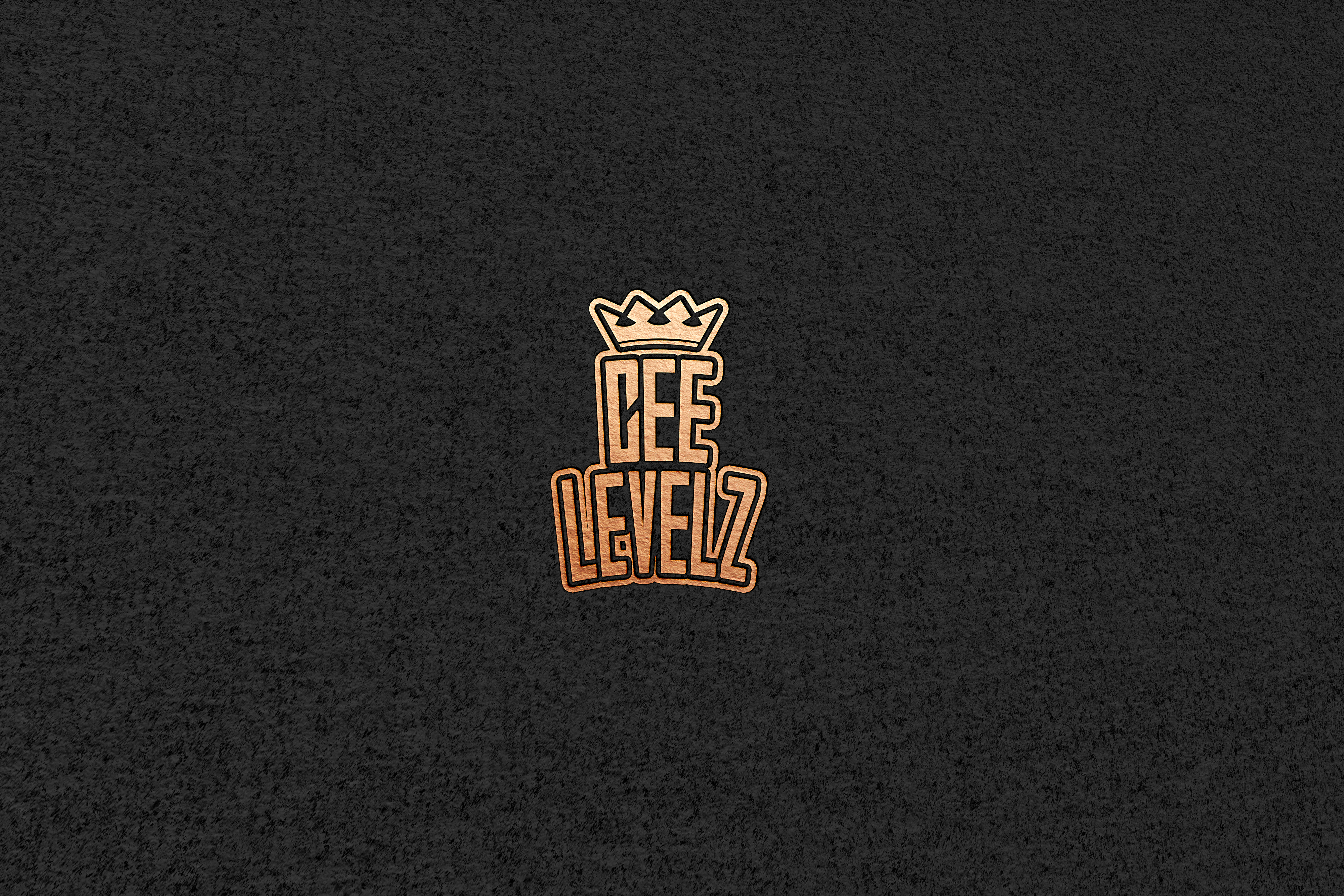 Logo Design by Roman Designs for this project | Design #30685464
