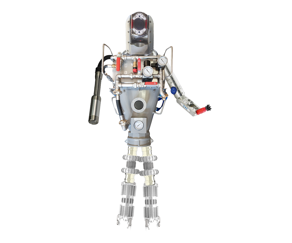 Design Graphique par Zonda Studio pour ce projet | Design #30716002