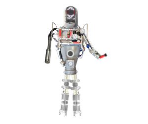 Graphic Design by Zonda Studio for this project | Design: #30716002