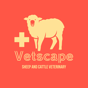 Logo Design by SoCal Design for this project | Design: #30694018