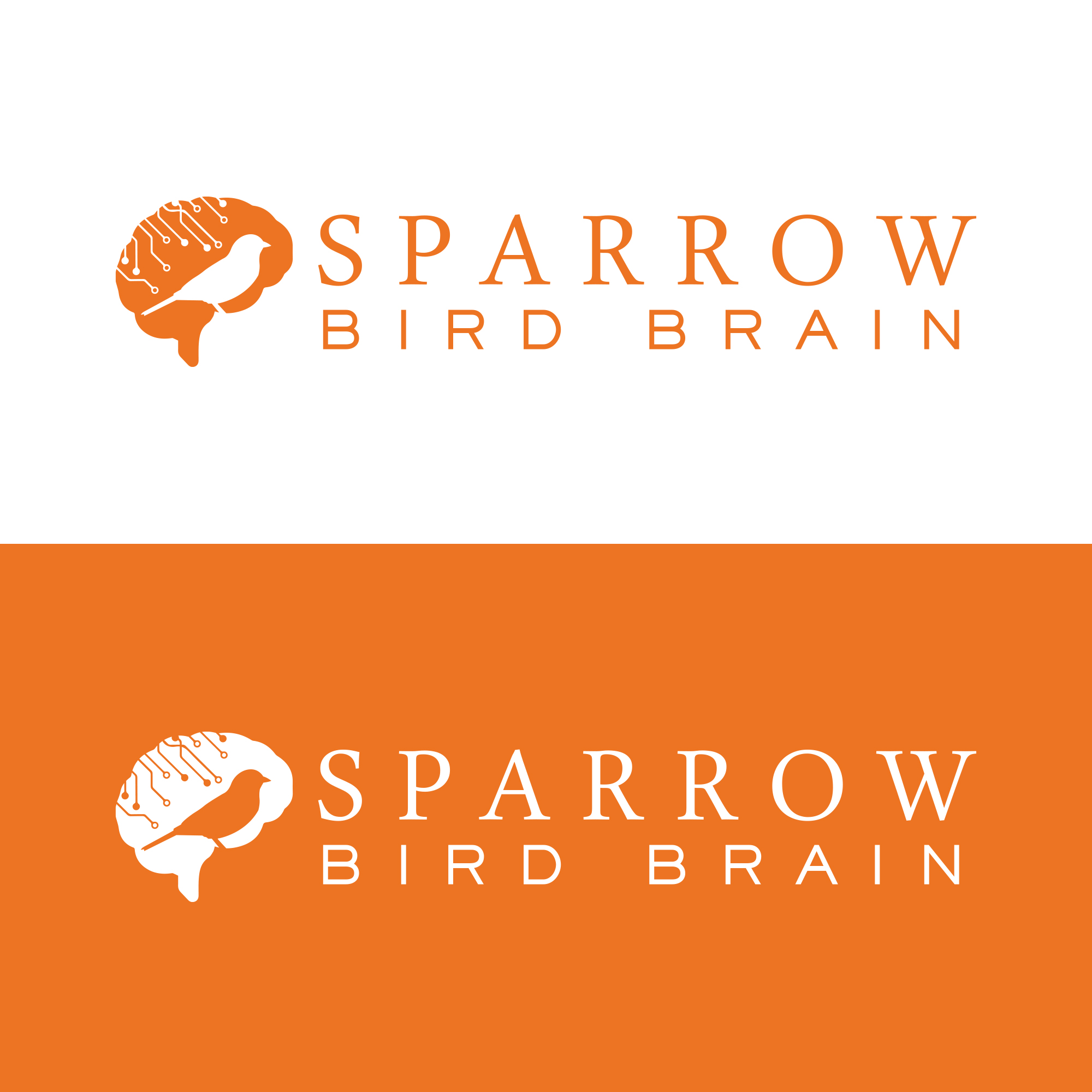 Logo Design by DSCMedia™ for this project | Design #30735527