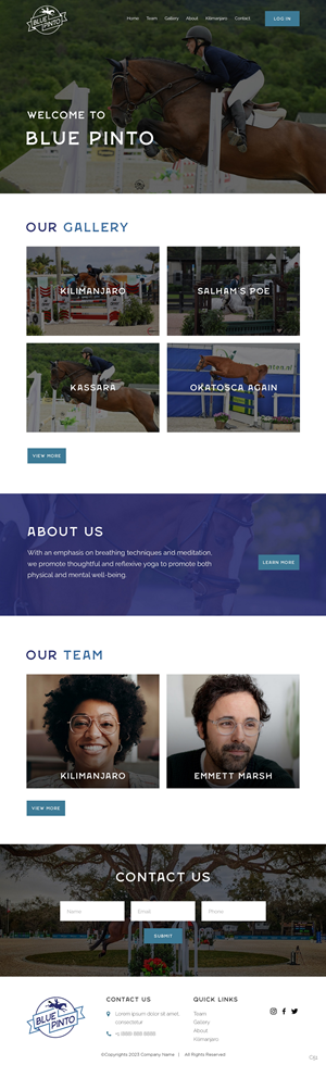 Design Squarespace par pb pour ce projet | Design : #30714882