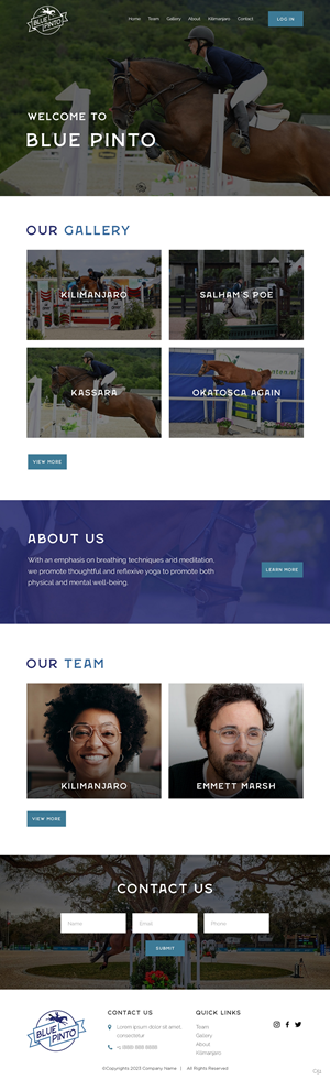 Squarespace Design by pb for this project | Design: #30714882