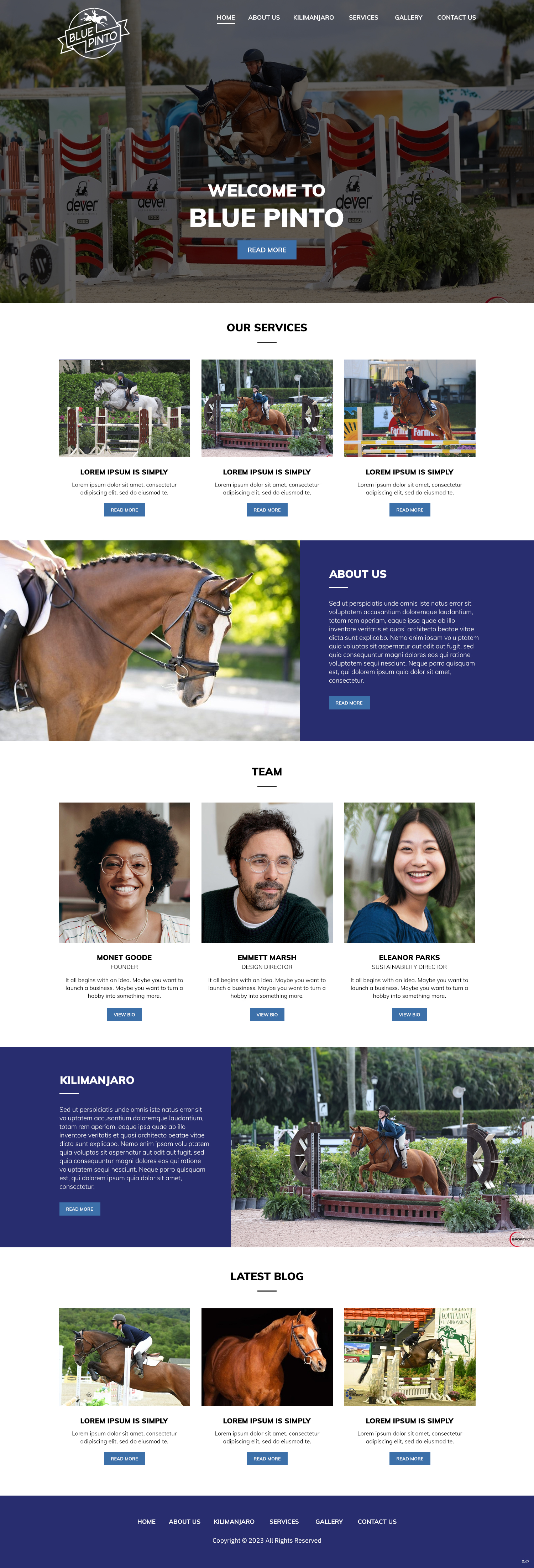 Squarespace Design by pb for this project | Design #30714884