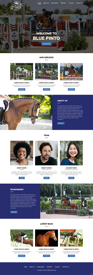 Design Squarespace par pb pour ce projet | Design : #30714884