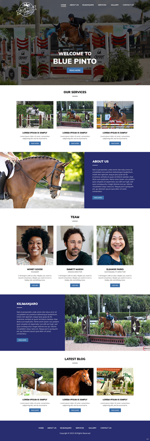 Squarespace Design by pb for this project | Design: #30714884