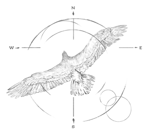 Diseño de Tatuaje por Pudja Pratama Sakti para este proyecto | Diseño: #30741408