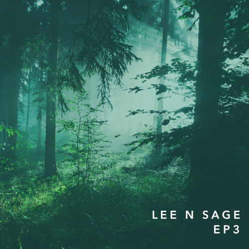 CD Cover Design by AnninWonderland for this project | Design #30742170