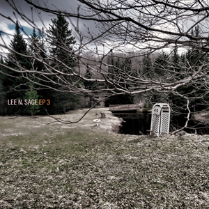 CD Cover Design by BassLine Leaners for this project | Design: #30772439