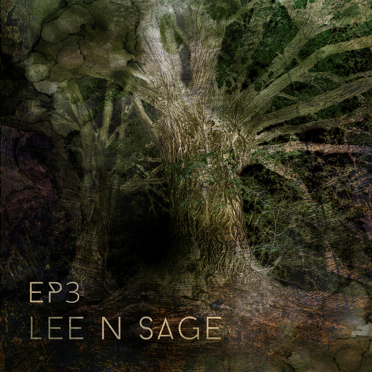 CD Cover Design by MNM for this project | Design #30743897