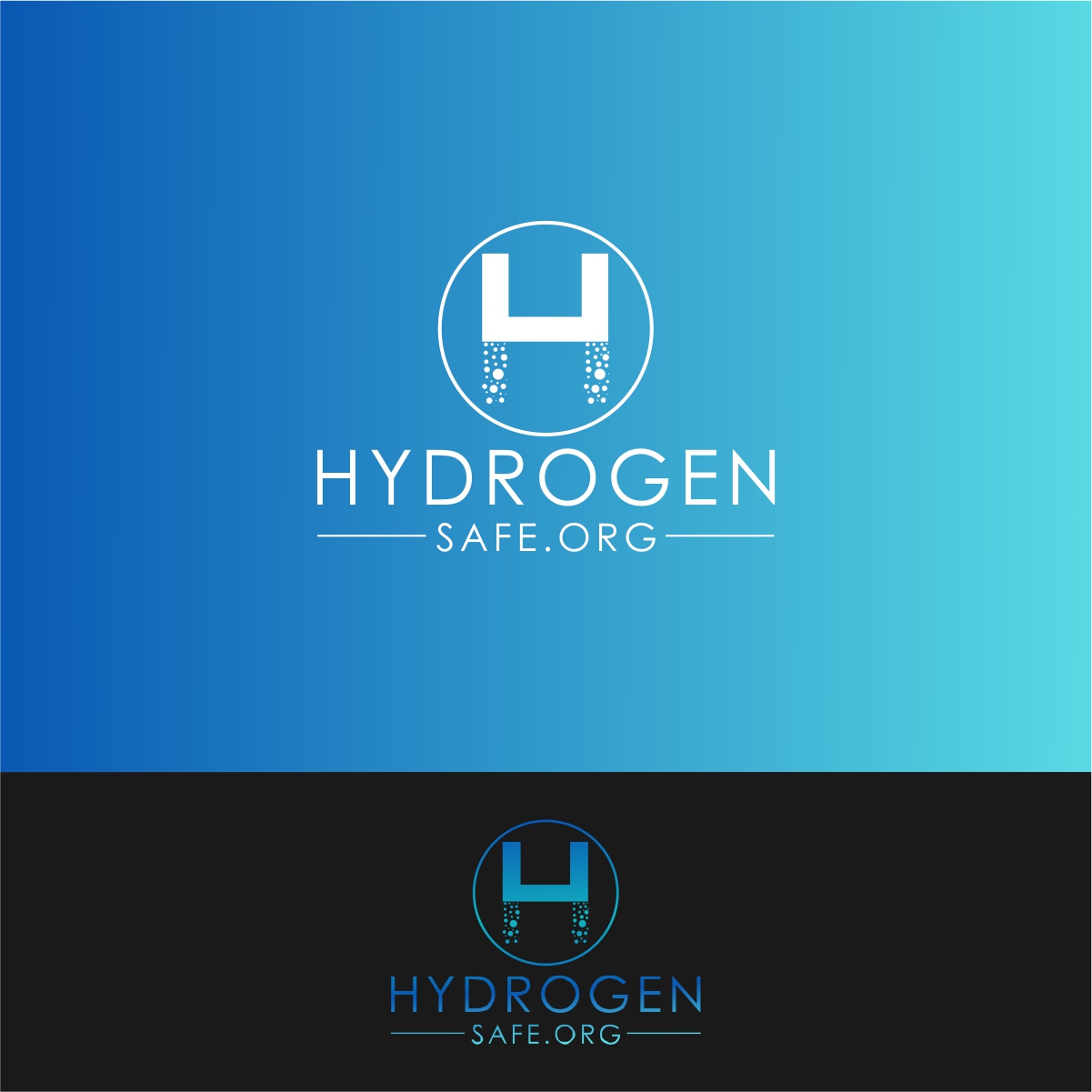 Logo Design by fly  design for this project | Design #30701011