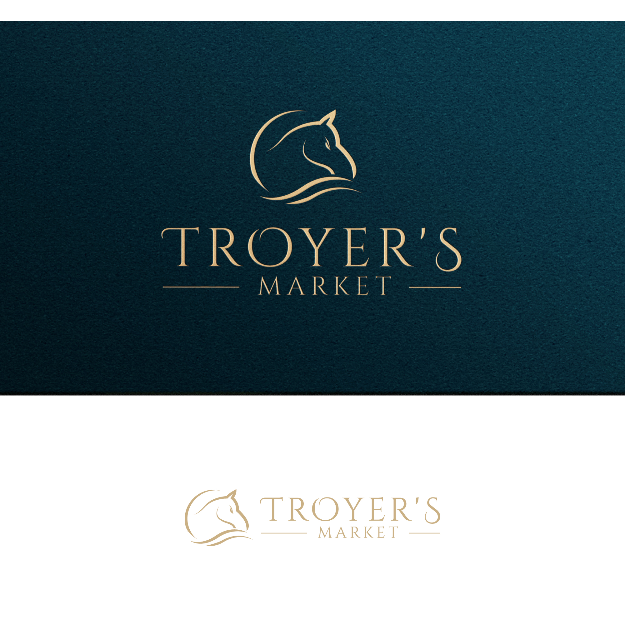 Diseño de Logo por zeykan para este proyecto | Diseño #30743387