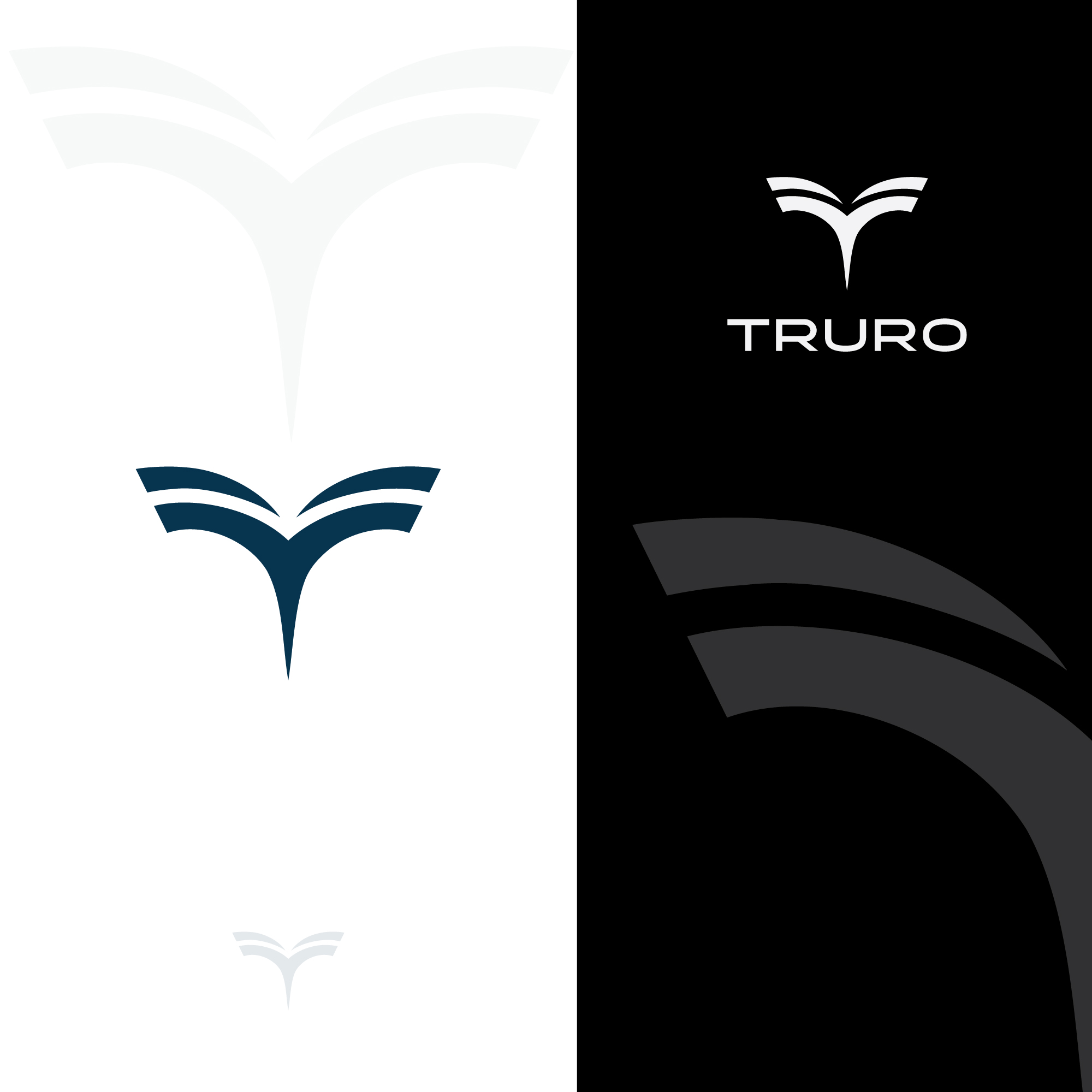 Logo Design by vanhoost for this project | Design #30779760