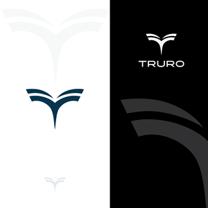 Logo Design by vanhoost