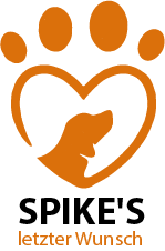 Logo Design by aaselajayalath17