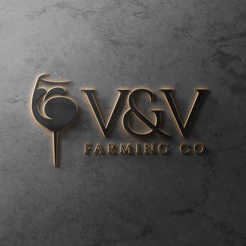 Logo Design by Daniella Camilozzi for this project | Design #30740399