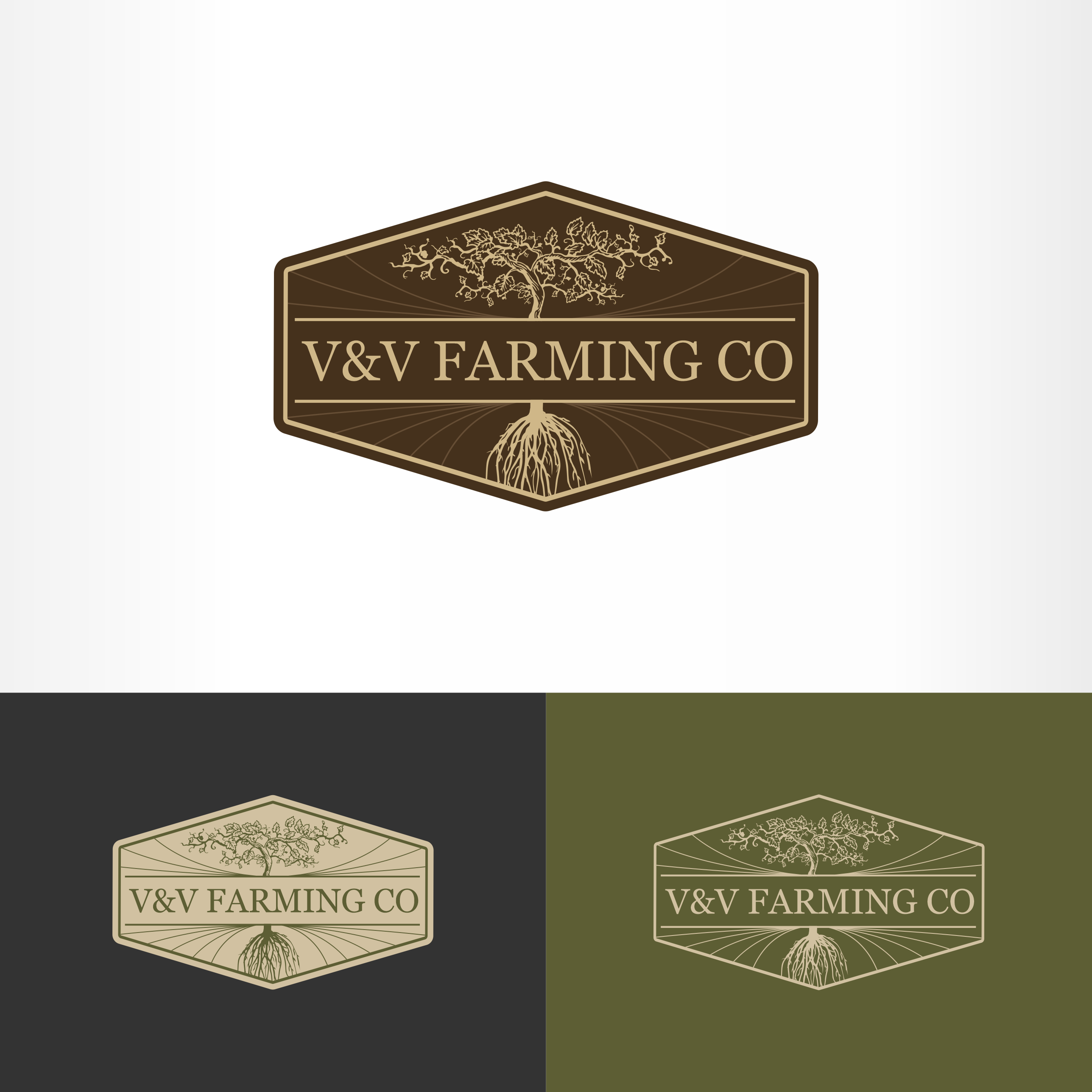 Diseño de Logo por kolevvp para este proyecto | Diseño #30738539