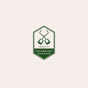 Logo Design by Zenara Alys