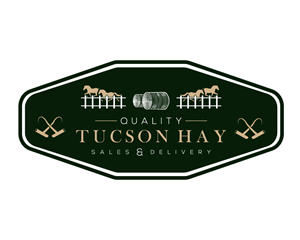 Logo Design by GRAPHICS DRIVE