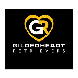 Logo Design by leooo for Gildedheart Retrievers | Design #30762417