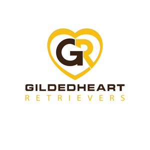 Design de Logo par leooo pour Gildedheart Retrievers | Design : #30762418