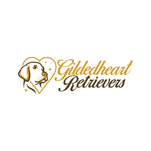 Design de Logo par brand maker pour Gildedheart Retrievers | Design : #30735773