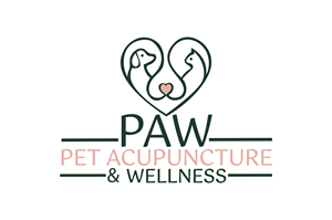 Logo Design by Jack Design 81