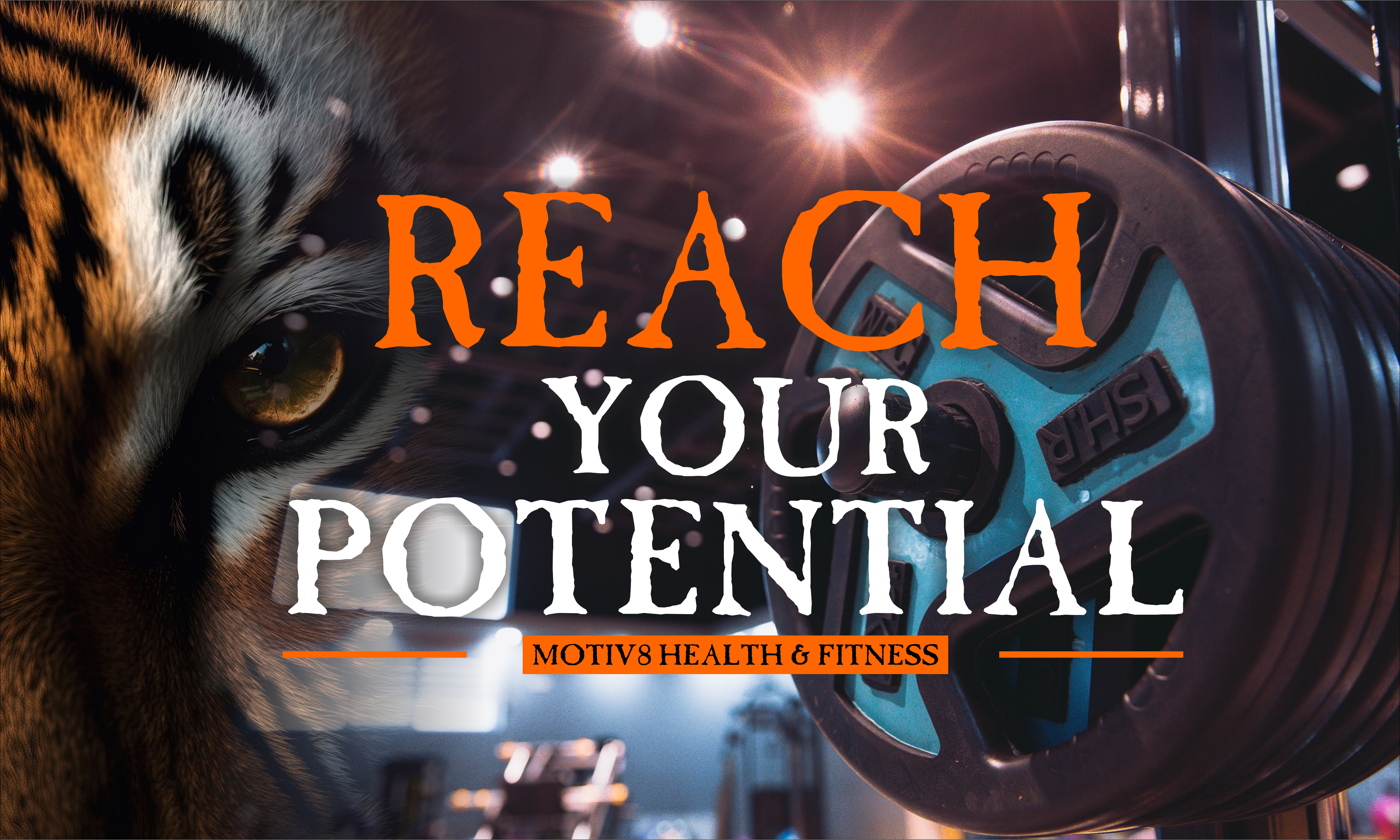 Sticker Design by BLINDMOON for this project | Design #30870952