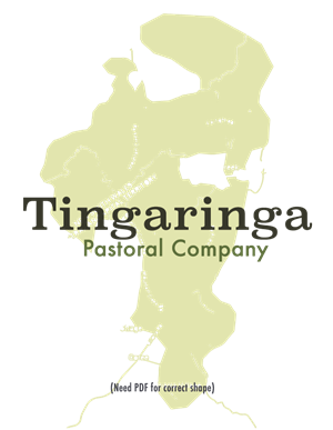 Logo Design by liddabitsdesign