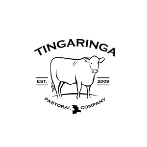 Diseño de Logo por geni para este proyecto | Diseño: #30837204