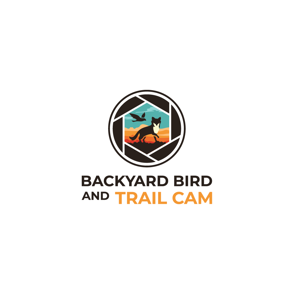 Logo Design by Jerwin Intac for this project | Design #30758690