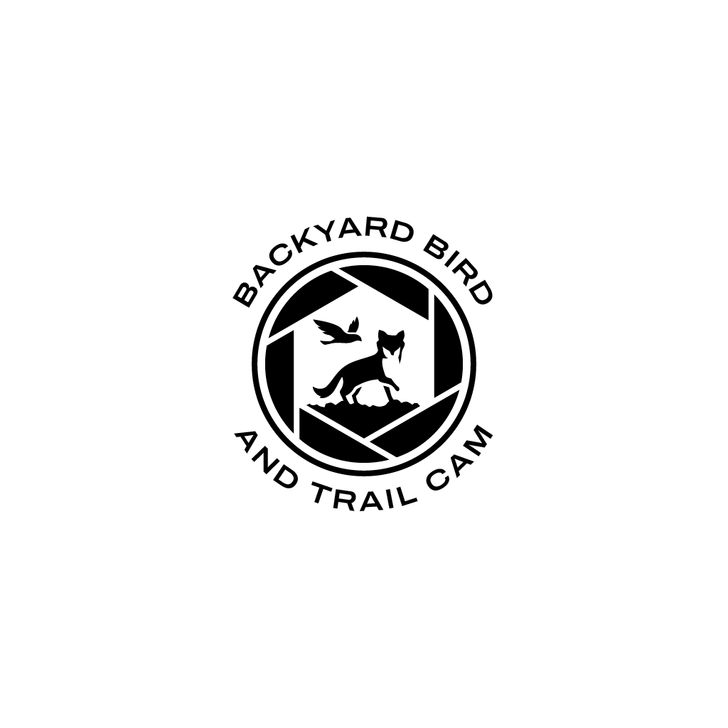 Logo Design by Jerwin Intac for this project | Design #30758693