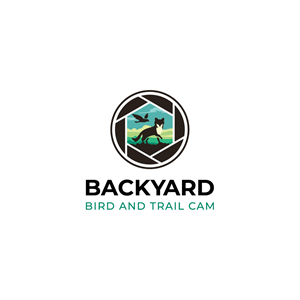 Logo Design by Jerwin Intac for this project | Design: #30767580
