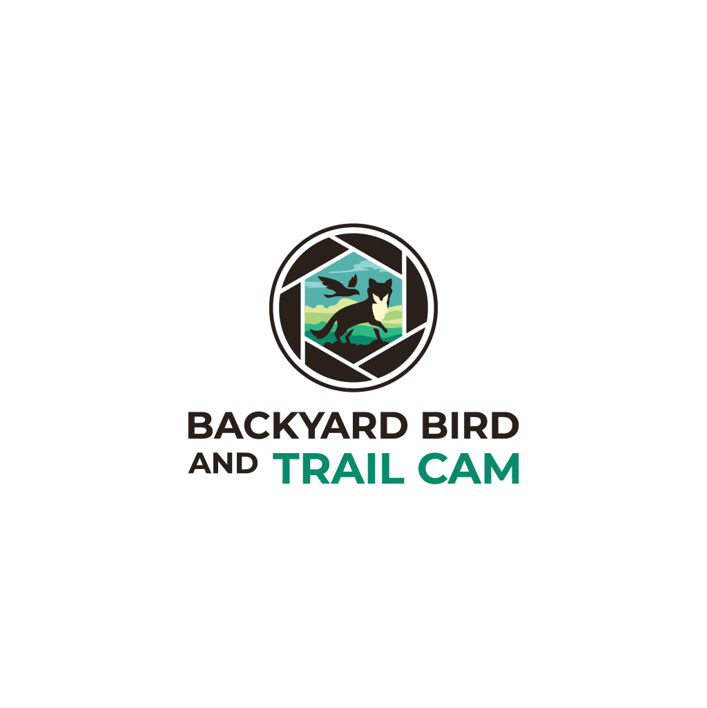 Logo Design by Jerwin Intac for this project | Design: #30772753