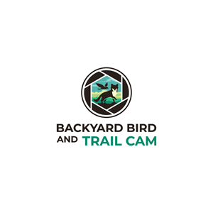 Logo Design by Jerwin Intac