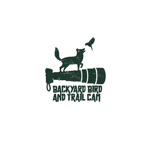 Logo Design by Onse Officials