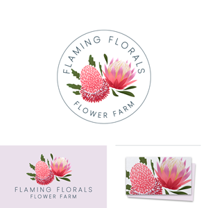 Logo Design by Franabanana