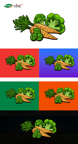 Graphic Design by VectR