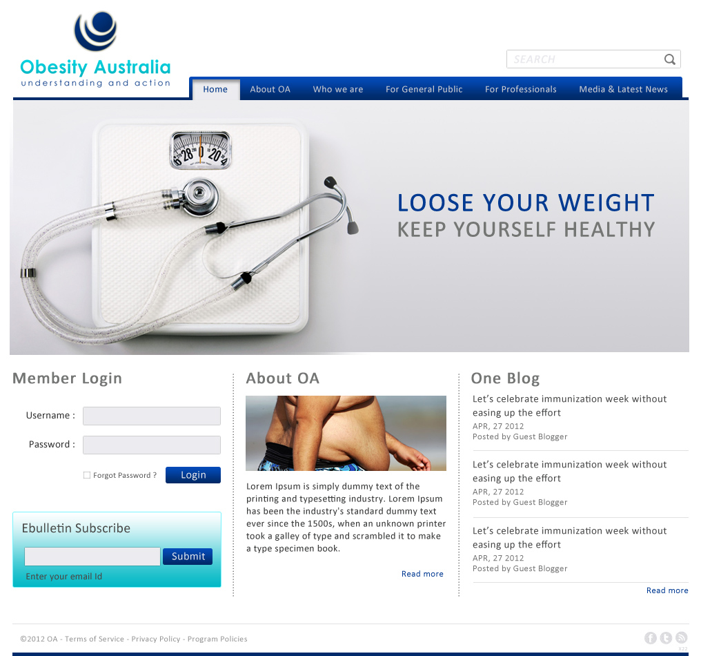 Web Design by pb for Niche IT Pty Ltd | Design #752300
