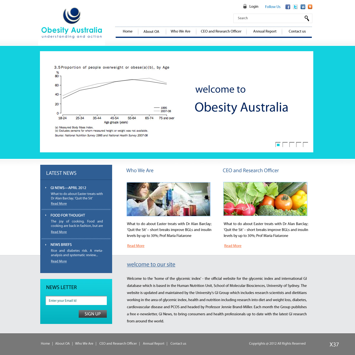 Web Design by pb for Niche IT Pty Ltd | Design #797270