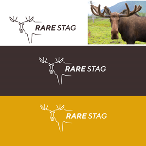 Logo Design by DesignPack