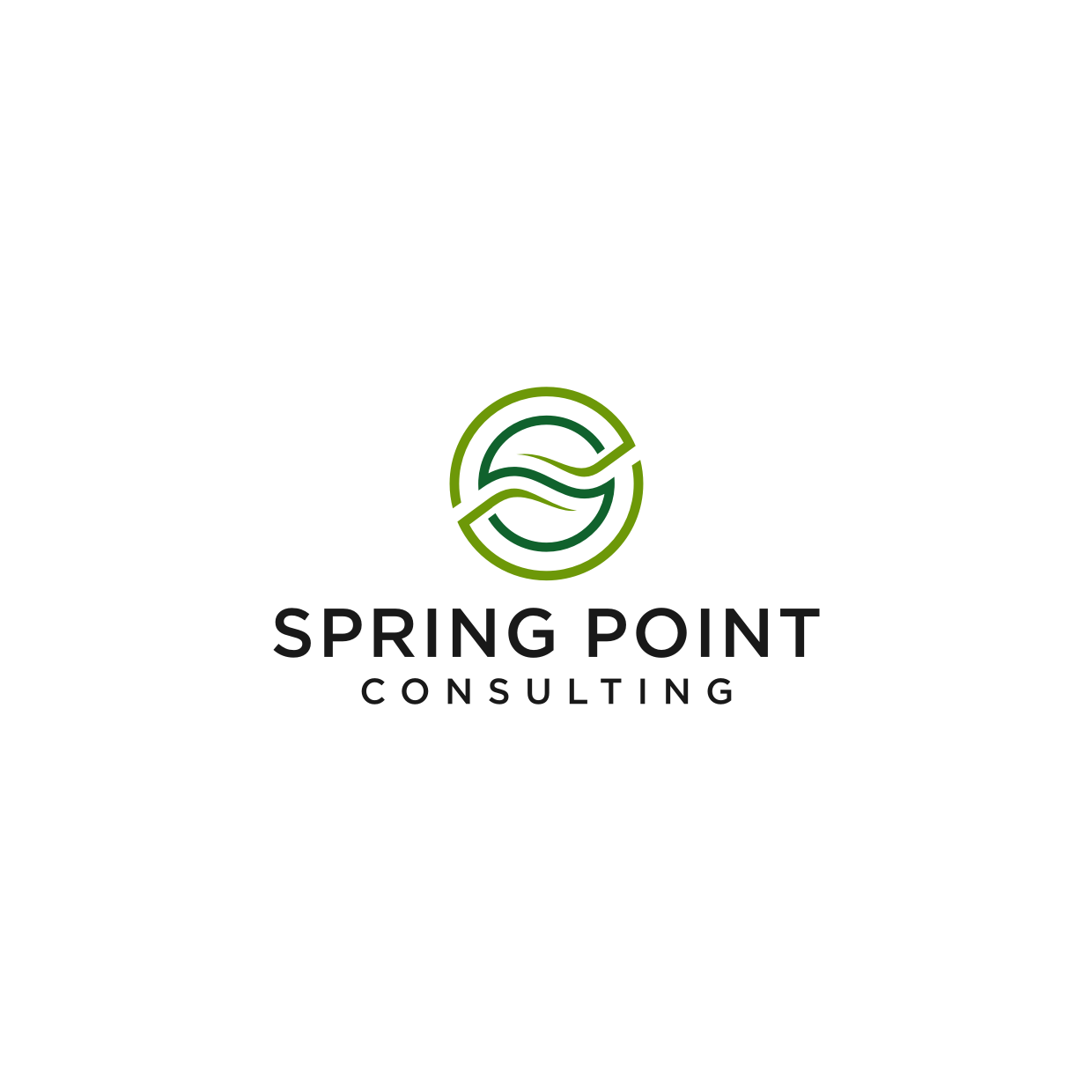 Design de Logo par richwork. pour Spring Point Consulting | Design #30782412