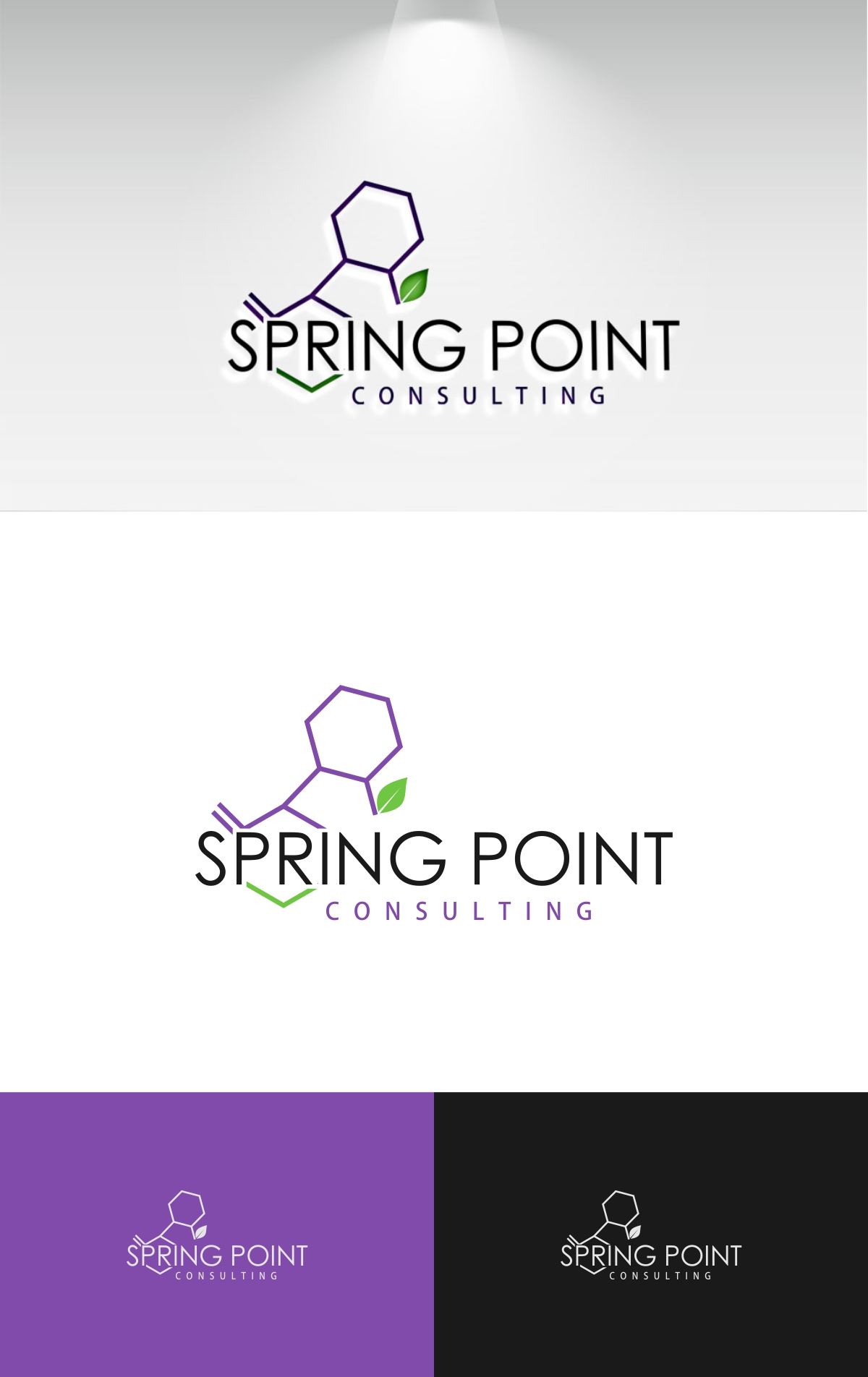 Logo Design by fly  design for Spring Point Consulting | Design #30776689