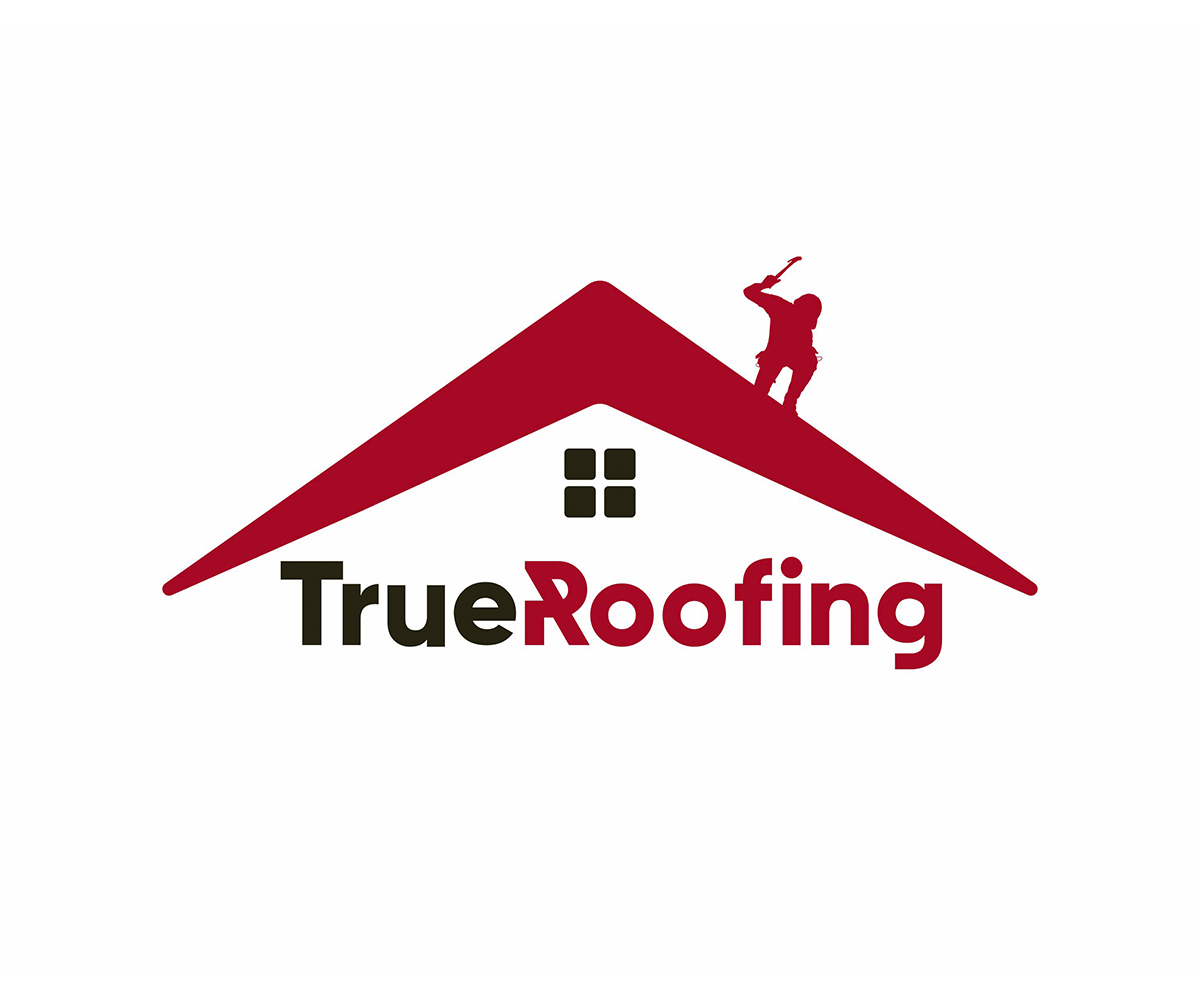 Logo Design by Zonda Studio for this project | Design #30791534