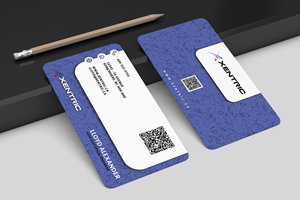 Business Card Design by Next Empire