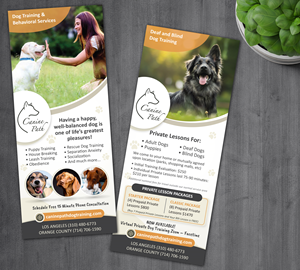 Diseño de Brochure por alex989 para Canine Path | Diseño: #30784028