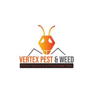 Logo Design by RP Digital