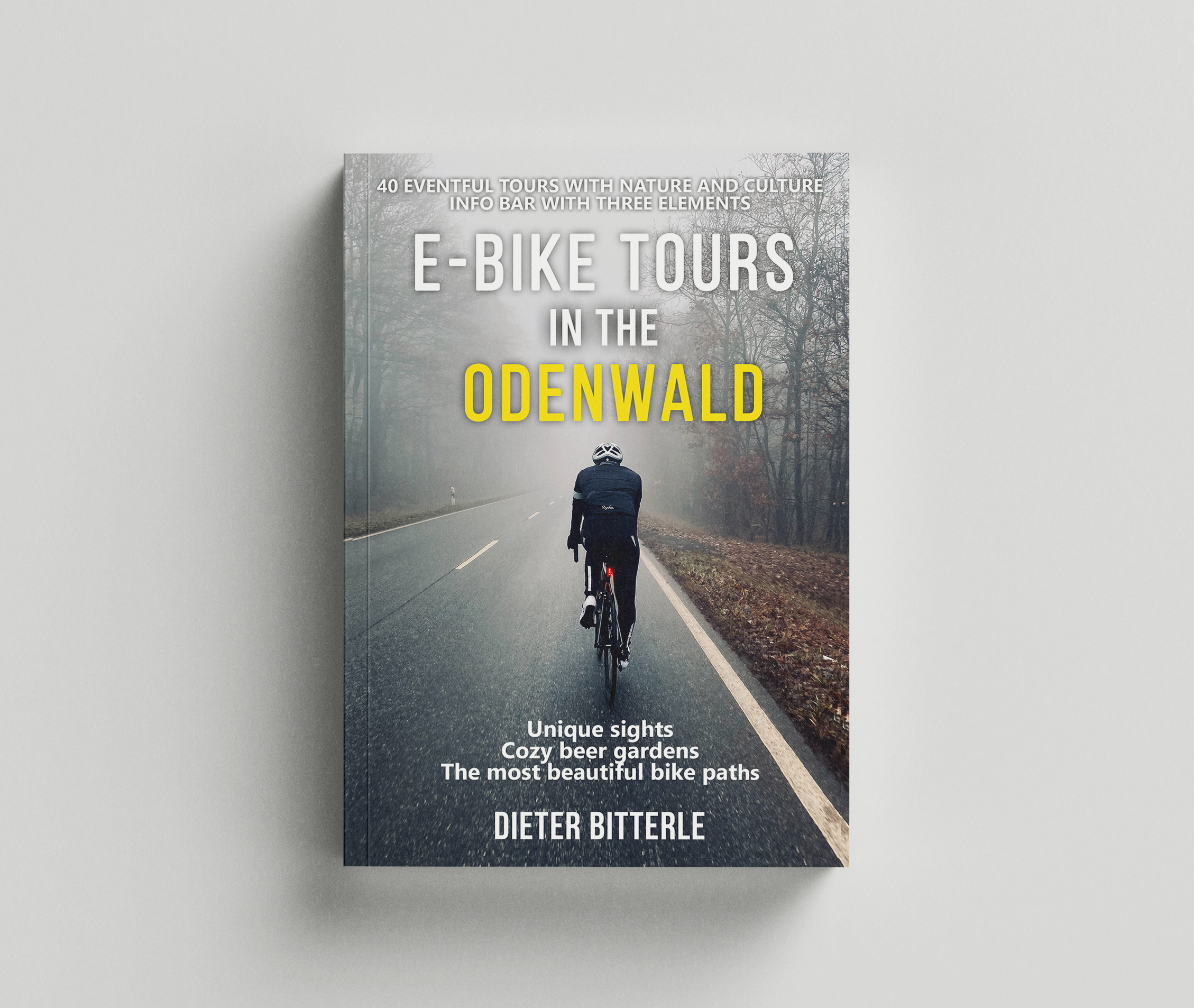 Book Cover Design by Ryan Munir for this project | Design #30803305
