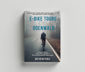 Book Cover Design by Ryan Munir for this project | Design: #30803354